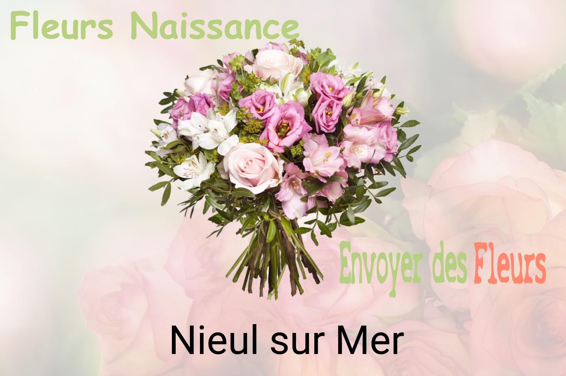 Bouquet de fleurs de naissance livré à Nieul-sur-Mer